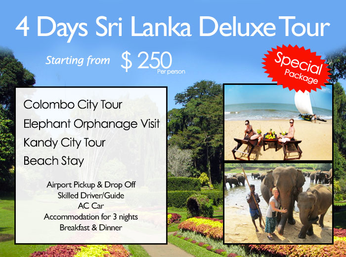 4 Days Sri Lanka Deluxe Tour Sri Lanka Tour Packages Holiday